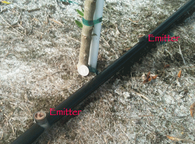 Drip_Irrigation_Williams-1.png