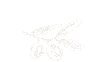 Olive-logo-white-360x316-e1511122170144.png