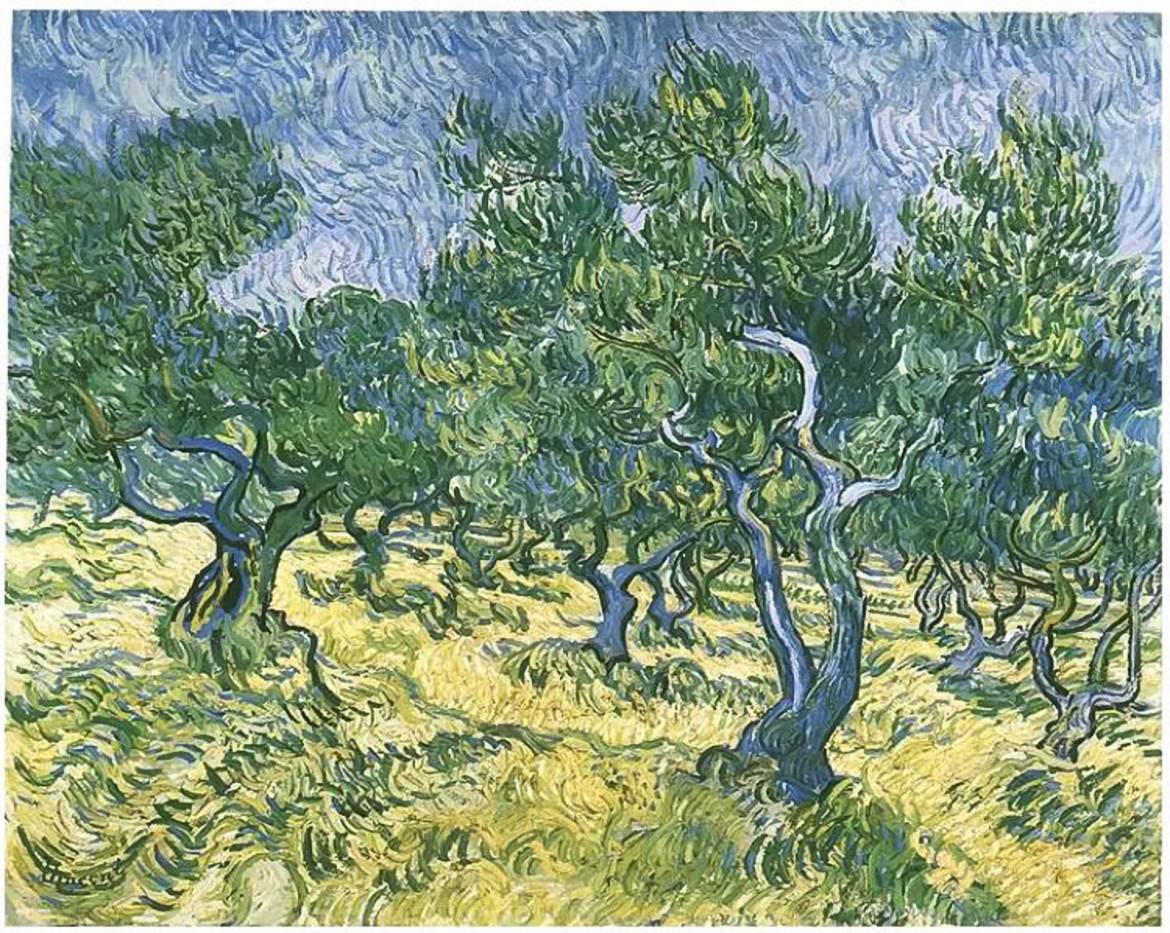 VanGoghOlive-Grove1920-300dpi.jpg